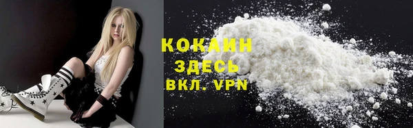 сатива Бронницы