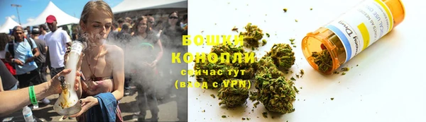 сатива Бронницы
