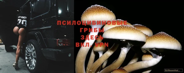 скорость Богородицк