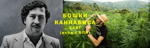 сатива Бронницы
