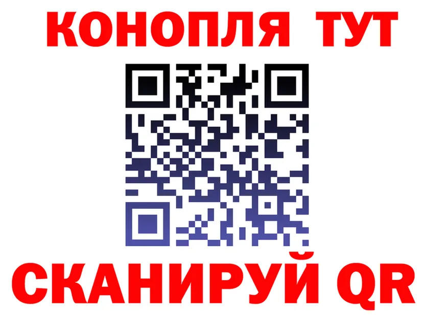 ГАШИШ Изолятор вход площадка OMG Вилючинск