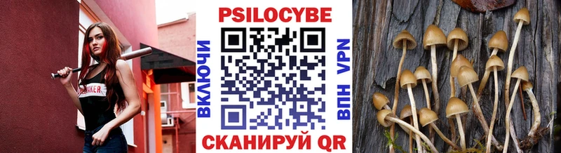 даркнет сайт гидра ССЫЛКА Псилоцибиновые грибы Psilocybine cubensis Вилючинск